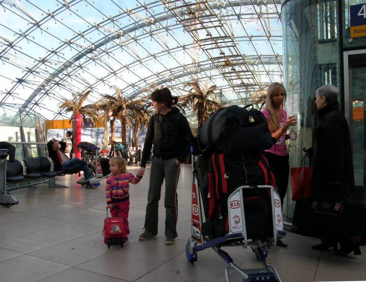 Erste Palmen in Frankfurt