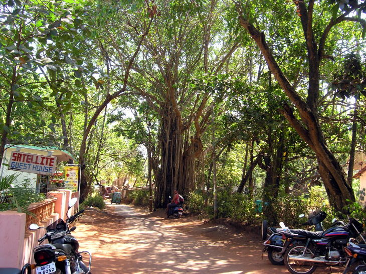 Calangute