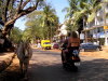 Candolim ( Goa - Indien )