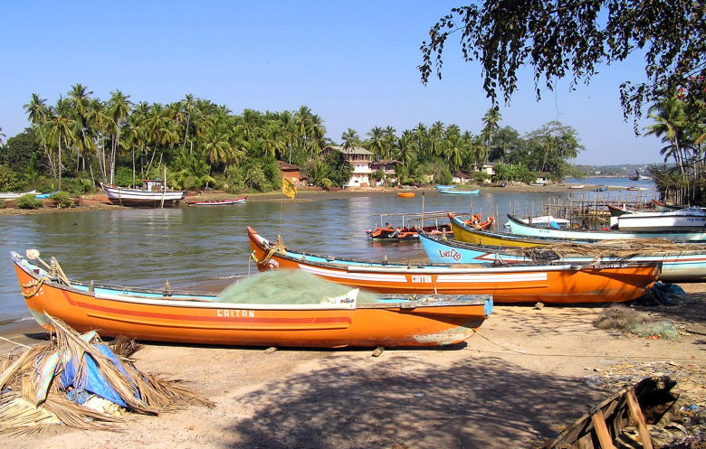 Flu in Candolim unterhalb des Fort Aguada. Hinten Coco Beach ( Indien - Goa )