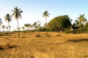 Candolim - Gelnde zwischen Ort und Strand ( Indien - Goa )