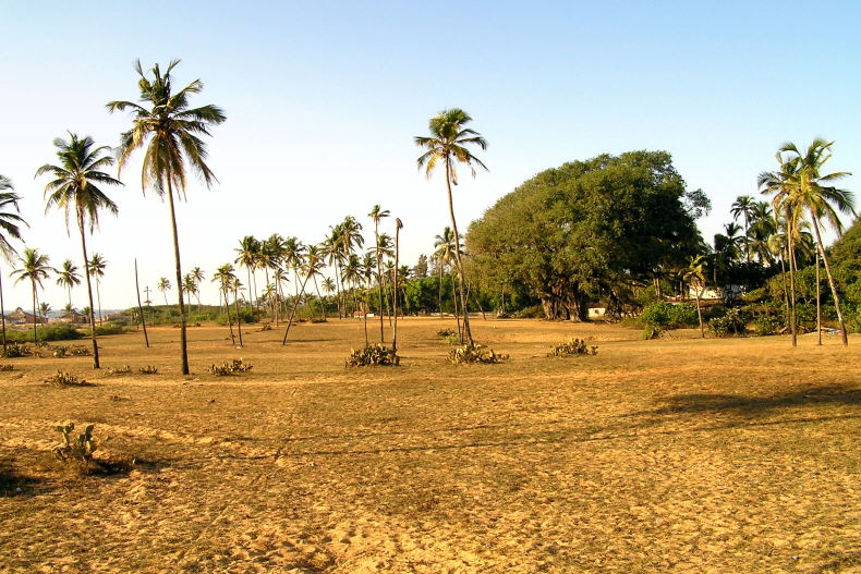 Candolim - Gelnde zwischen Ort und Strand ( Indien - Goa )