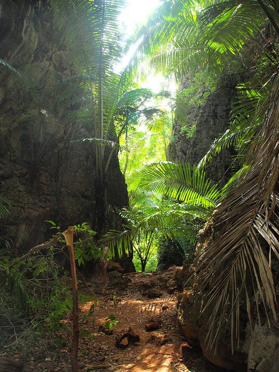 gleich geht es wieder steil Abwrts - Railay Lagune