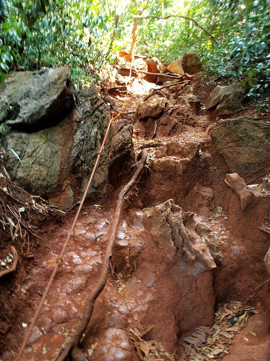 Weg zum View Point - Railay