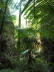 tropische Schlucht - Railay - Krabi