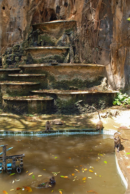 Tiger Cave Temple - Makaken Affen