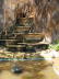 Tiger Cave Temple - Makaken Affen - Krabi
