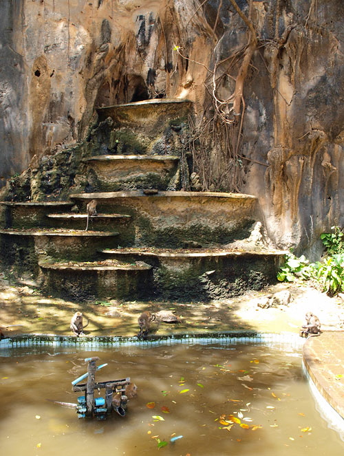 Tiger Cave Temple - Makaken Affen - Krabi