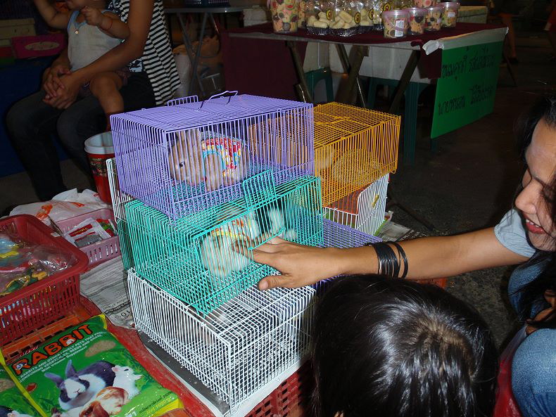 Krabitown - Thailand - Nachtmarkt