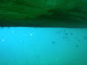 Longtailboot von Unten