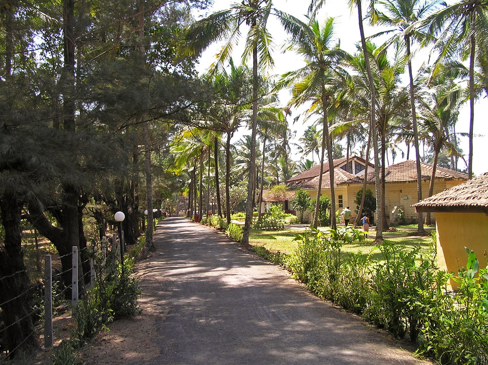 Vagator - Sterling Resort - Goa - Indien