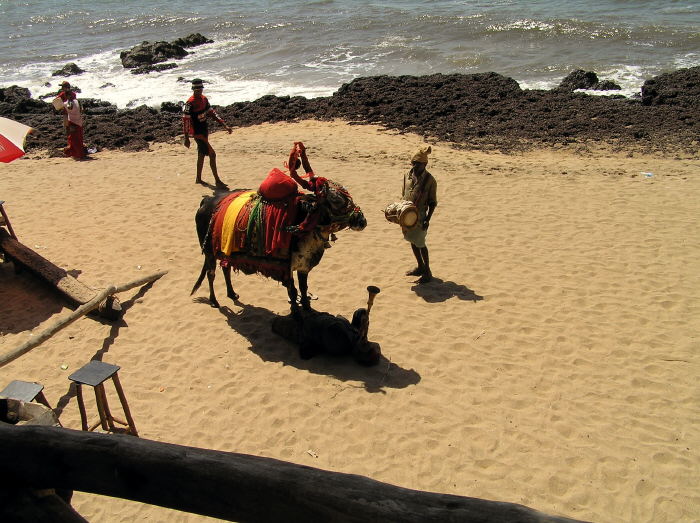 Musikanten in Goa