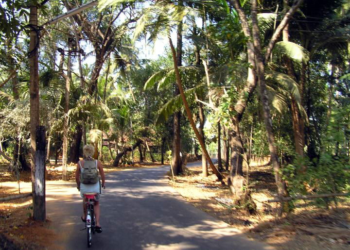 Benaulim Hinterland 